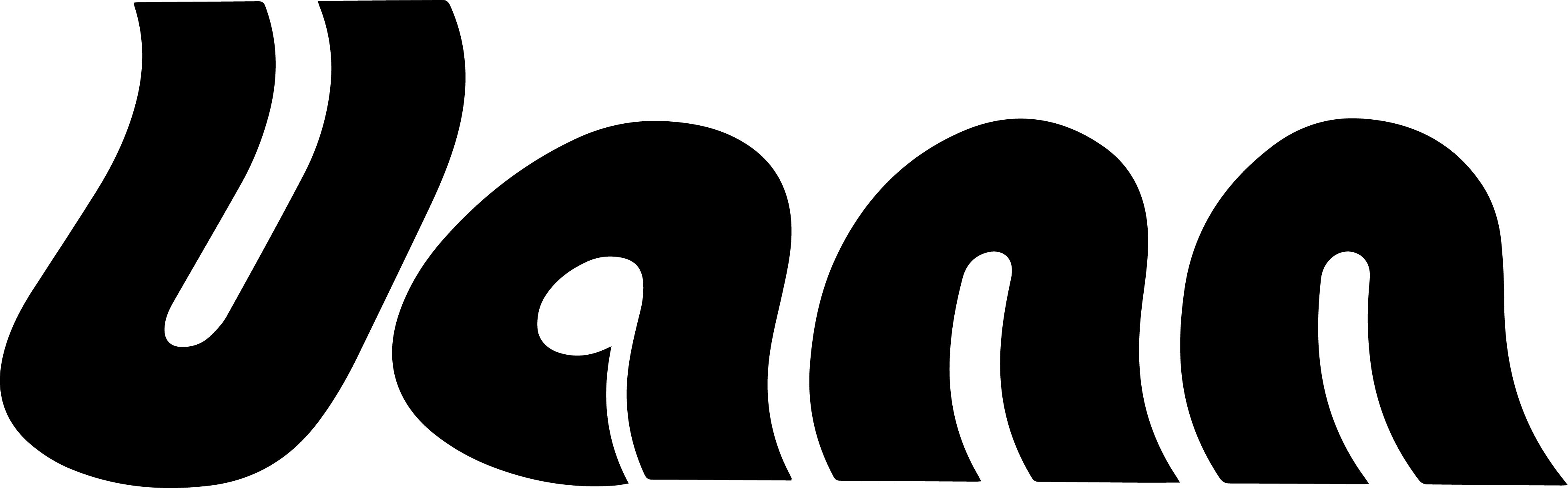 VANN logo